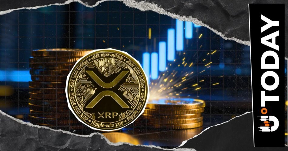 356,000 Active Addresses: XRP Network’s 655% Rise Signals Incoming Big Move?