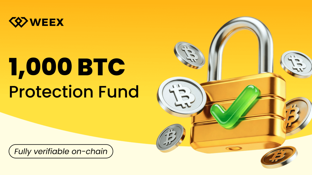 16 Years Ago, ‘Stone Man’ Lost 9000 BTC in a Legendary Incident! Discover the Lesson Learned