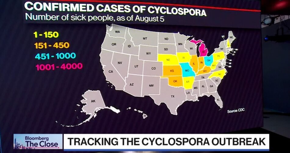Former CDC Official on the Cyclospora Outbreak