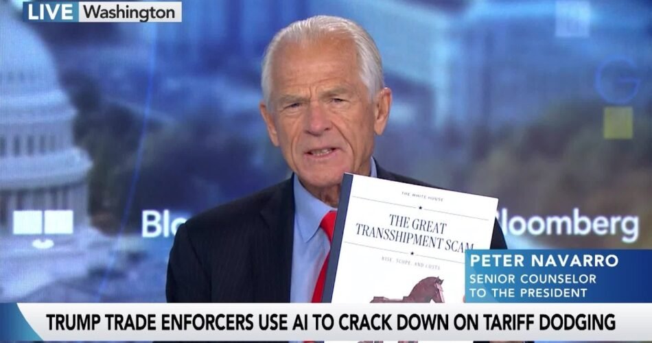 Navarro Says Countries Are Helping China Avoid Tariffs
