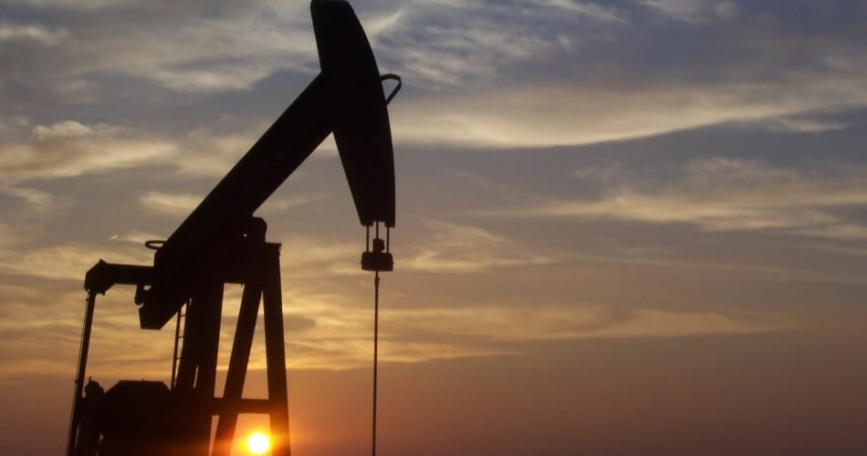 Alamein Petroleum Produces 613,200 Barrels as PetroZenima Reviews Output