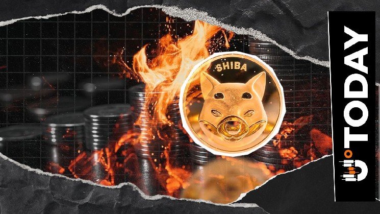 Shiba Inu Burn Rate Rockets 441% After Major Price Breakout