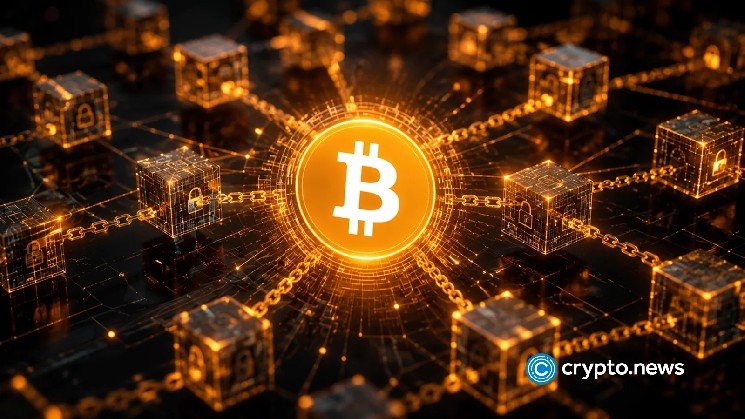 US government moves Bitcoin seized from Alameda