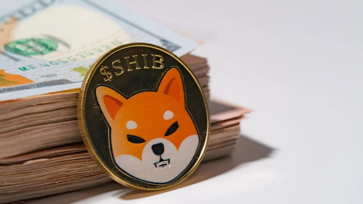 Shiba Inu (SHIB) Key Metric Loses 48%: Is Bullish Reversal Over?