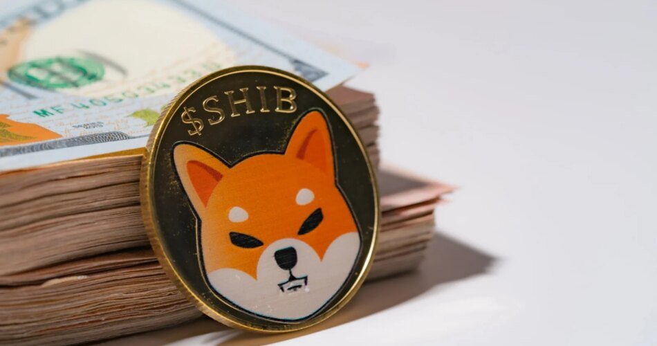 7 Out of 8 Shiba Inu (SHIB) Spot Flow Timeframes in Red: What to Expect From Price?