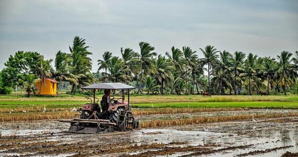 Indian farmers cover 96% of the normal Kharif area as planting window closes