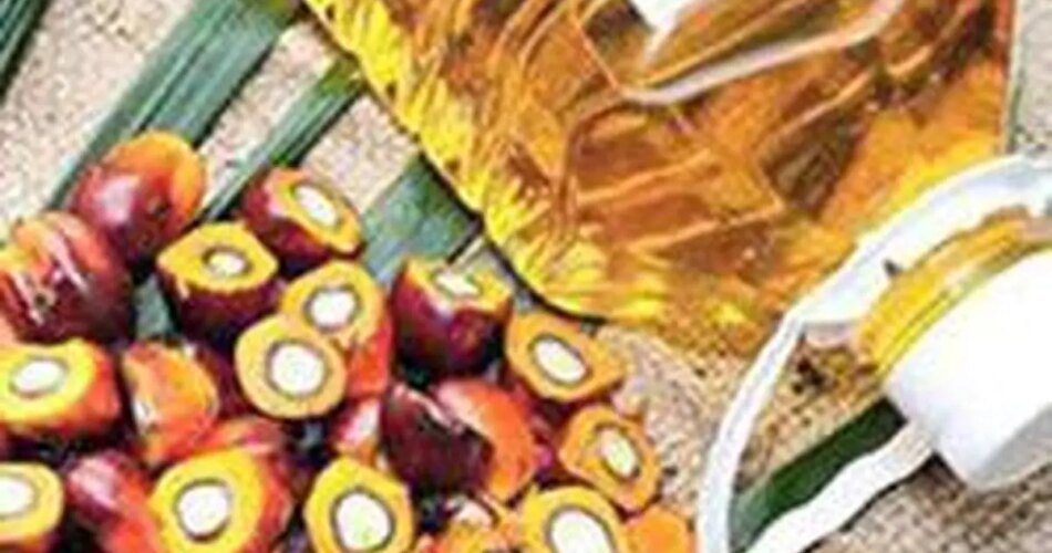 Global palm oil prices seen surging on narrow production surplus