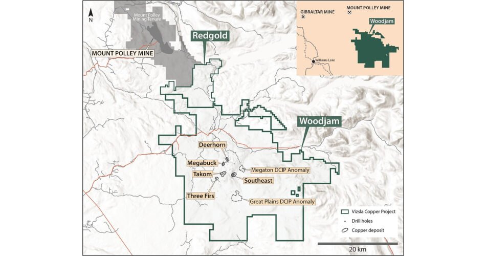VIZSLA COPPER DRILLS 48.5 METERS OF 3.32% COPPER WITHIN 266.0 METERS OF 0.97% COPPER AT THE DEERHORN DEPOSIT, WOODJAM PROJECT, CENTRAL BRITISH COLUMBIA
