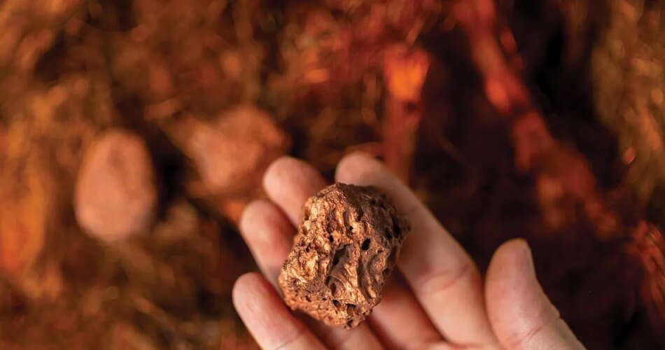 Sumitomo and G Mining Group Back Tintina’s Dos Amigos Copper Project