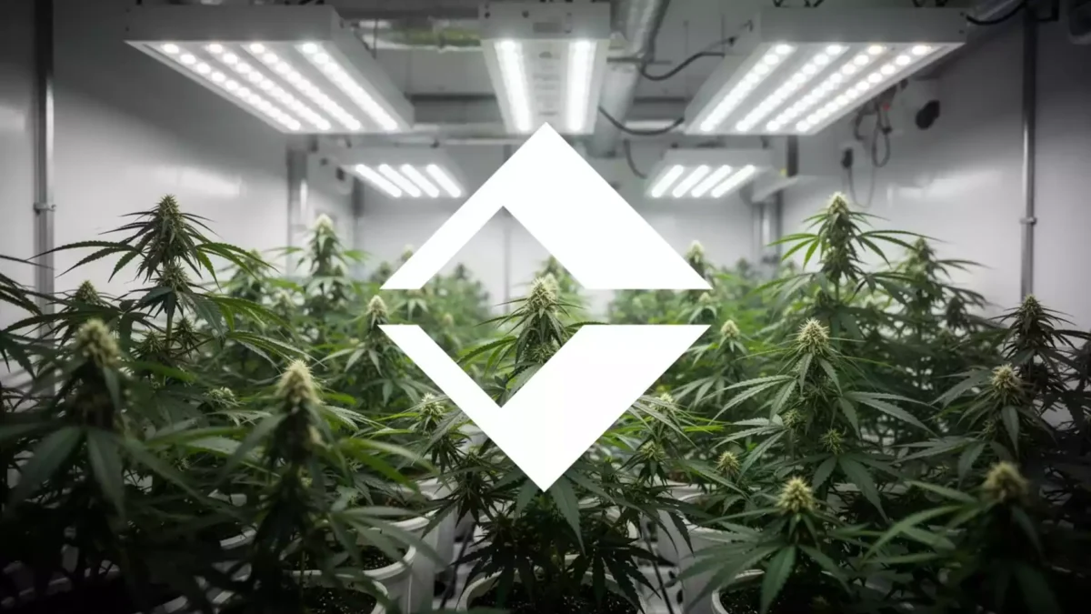 Trulieve Aktie: DEA veröffentlicht Marihuana-Transkript
