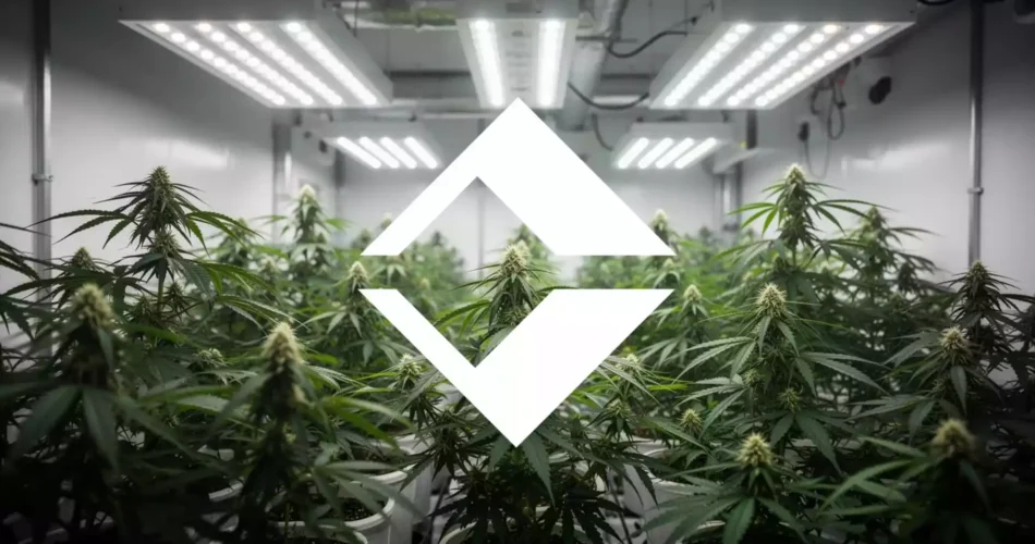 Trulieve Aktie: DEA veröffentlicht Marihuana-Transkript