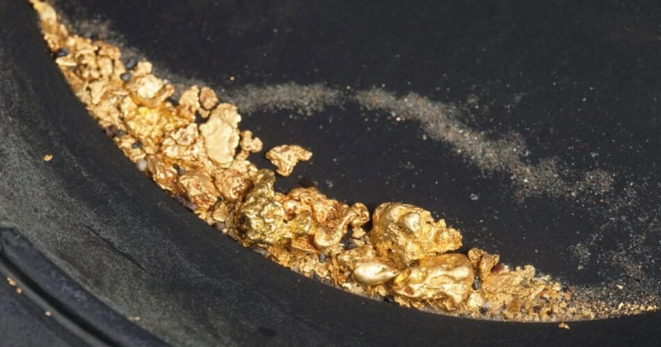 Why gold stocks have regained their shine: Expert