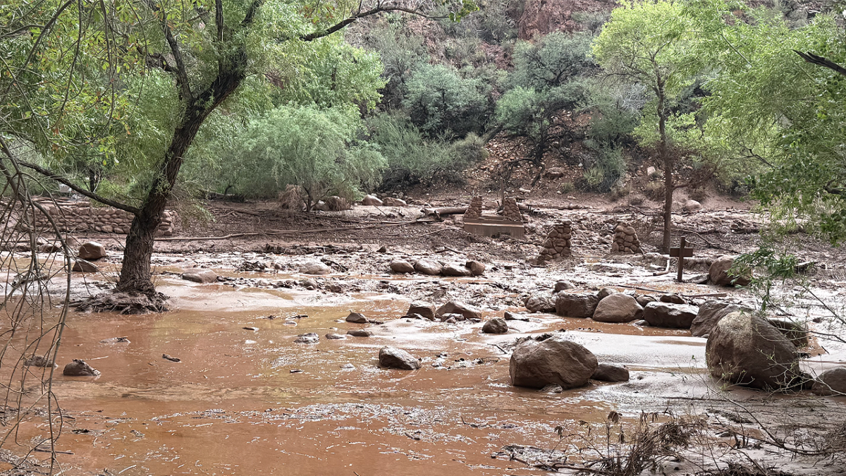 Urgent search underway for more than 20 people after Grand Canyon flash flood