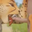 Black cock fucks Furry Snow Leopard Girl 2K