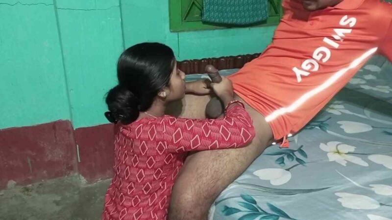 Swiggy Delivery Boy fucked my customer in Desi Style with Hindi Audio