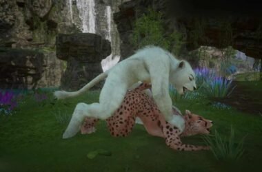 Wildlife Furry Gay Porn (Kral_Rawn)