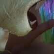 Wildlife Furry Gay Porn (Kral_Max)