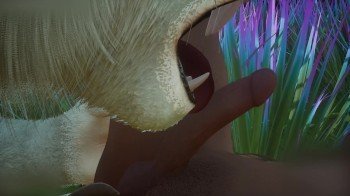 Wildlife Furry Gay Porn (Kral_Max)