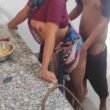 Indian Big boobs bhabhi sex affairs in kitchen